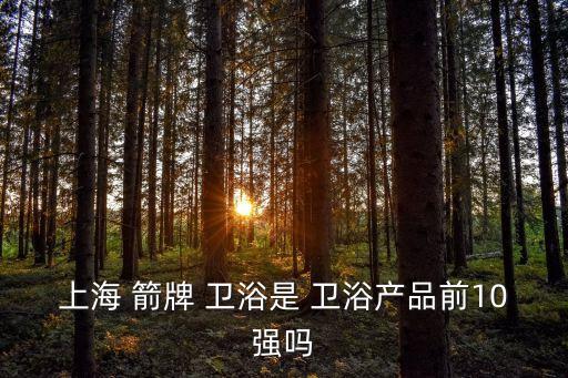 四維箭牌衛(wèi)浴質(zhì)量,中國十佳衛(wèi)浴品牌名單出爐