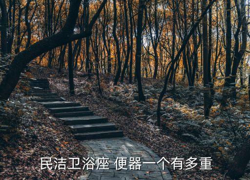 民潔衛(wèi)浴坐便器,全球整體衛(wèi)浴供應商清潔衛(wèi)浴排名前列