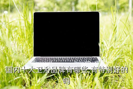 國內(nèi)十大衛(wèi)浴品牌有哪些,有特別好的嗎