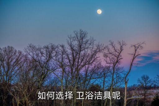 縣城衛(wèi)浴做品牌好還是雜牌好,科勒和箭牌馬桶品牌的優(yōu)缺點