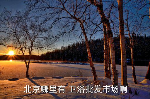  北京哪里有 衛(wèi)浴批發(fā)市場啊
