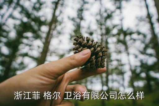 浙江菲 格爾 衛(wèi)浴有限公司怎么樣