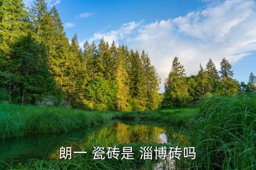 淄博瓷磚和衛(wèi)浴,陶瓷磚是朗藝的經(jīng)營目標(biāo)瓷磚