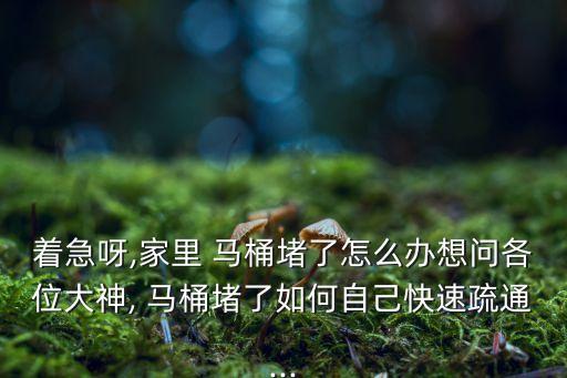 漢斯衛(wèi)浴馬桶,馬桶堵塞怎么辦?