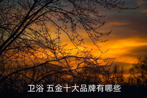  衛(wèi)浴 五金十大品牌有哪些