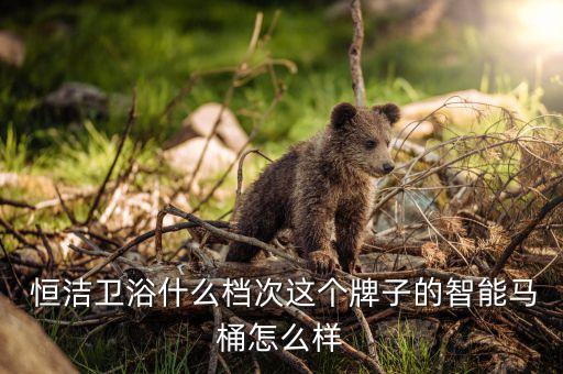  恒潔衛(wèi)浴什么檔次這個(gè)牌子的智能馬桶怎么樣
