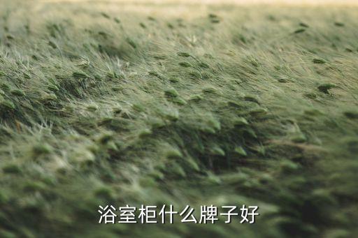 浴室柜什么牌子好