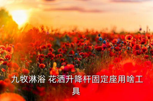 九牧王衛(wèi)浴花灑,九牧王衛(wèi)浴產(chǎn)品價格與競爭對手相同但質(zhì)量優(yōu)異