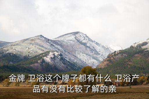 金牌 衛(wèi)浴這個牌子都有什么 衛(wèi)浴產(chǎn)品有沒有比較了解的親