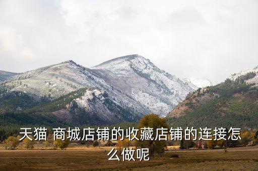  天貓 商城店鋪的收藏店鋪的連接怎么做呢