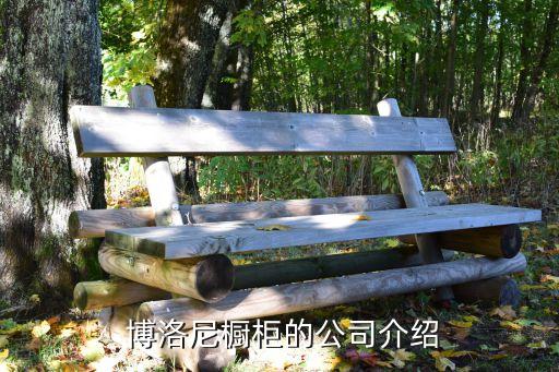 陶瓷衛(wèi)浴 博洛尼,我國新中式風格定制博洛尼全屋定制值得選擇