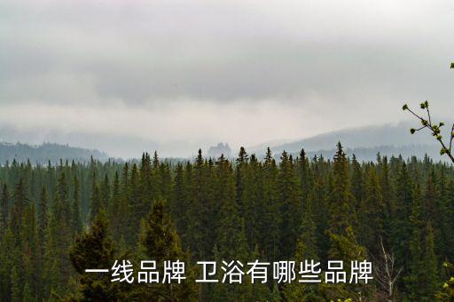  一線品牌 衛(wèi)浴有哪些品牌