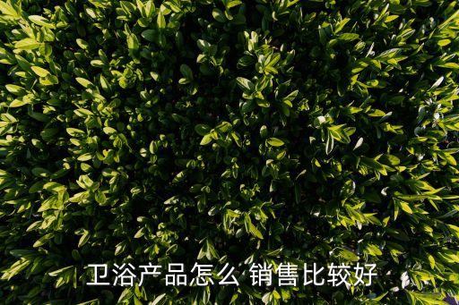  衛(wèi)浴產(chǎn)品怎么 銷售比較好