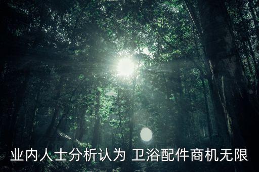 業(yè)內人士分析認為 衛(wèi)浴配件商機無限