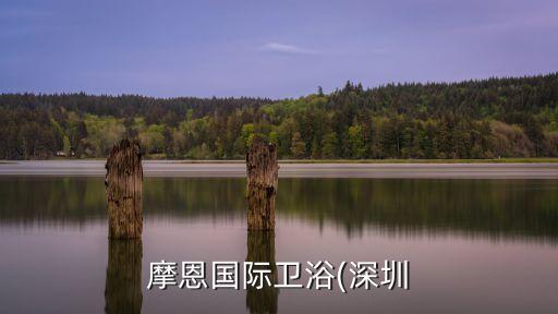 摩恩衛(wèi)浴如何加盟,摩恩國(guó)際衛(wèi)浴有限公司旗下品牌洗浴產(chǎn)品上架