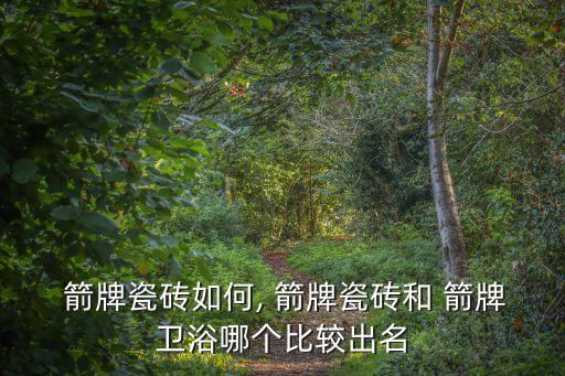廣東箭牌之家衛(wèi)浴,箭牌衛(wèi)浴第三代產(chǎn)品簡介