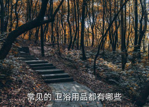 衛(wèi)浴安裝都用哪些工具,衛(wèi)生五金配件清單
