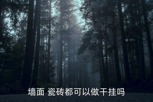 墻面 瓷磚都可以做干掛嗎