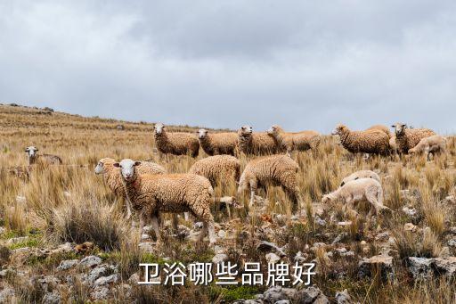 衛(wèi)浴哪些品牌好