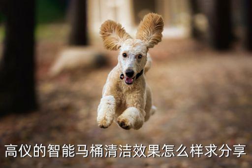 高儀的智能馬桶清潔效果怎么樣求分享