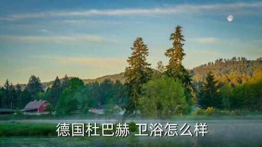  德國杜巴赫 衛(wèi)浴怎么樣