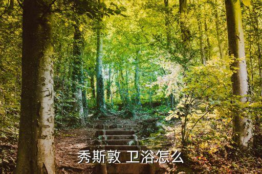 衛(wèi)浴連鎖店,秀思頓衛(wèi)浴產(chǎn)品實(shí)現(xiàn)全球設(shè)備一體化生產(chǎn)
