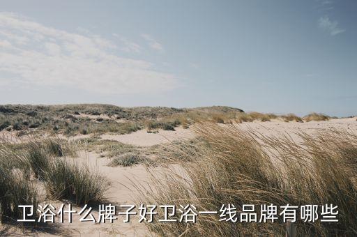 衛(wèi)浴什么牌子好衛(wèi)浴一線品牌有哪些