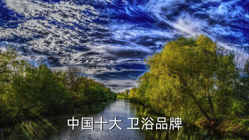 中國十大 衛(wèi)浴品牌