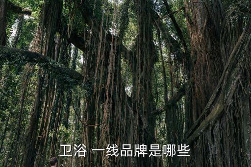 衛(wèi)浴 一線品牌是哪些