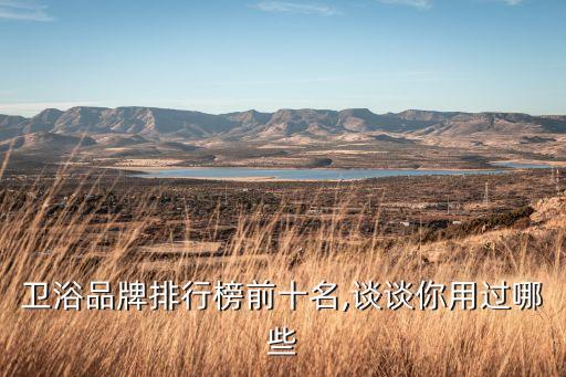 衛(wèi)浴品牌排行榜前十名,談?wù)勀阌眠^(guò)哪些