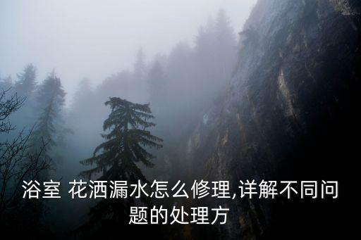 浴室 花灑漏水怎么修理,詳解不同問題的處理方
