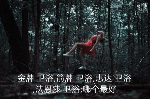 金牌 衛(wèi)浴,箭牌 衛(wèi)浴,惠達 衛(wèi)浴,法恩莎 衛(wèi)浴,哪個最好