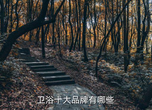衛(wèi)浴十大品牌有哪些