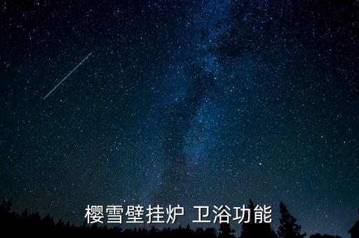 櫻雪壁掛爐 衛(wèi)浴功能