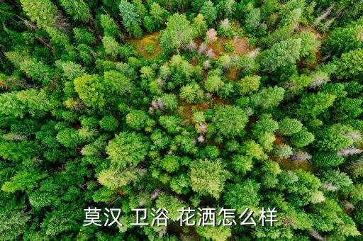 衛(wèi)浴花灑銷售,五大衛(wèi)浴品牌推介