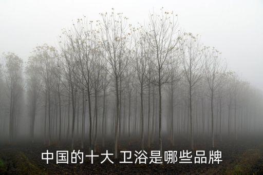 四維衛(wèi)浴廠家,選購衛(wèi)浴產(chǎn)品注意事項