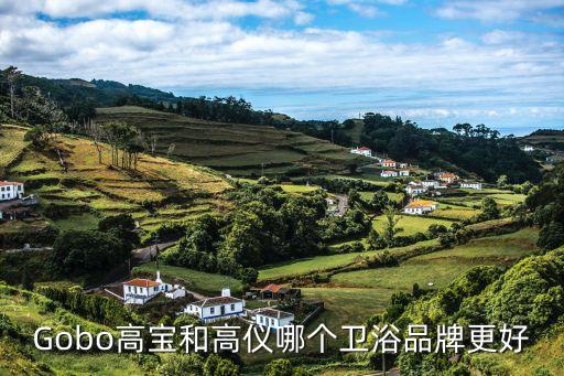 高儀衛(wèi)浴 報(bào)表,瑞士勞芬屬于世界上最大衛(wèi)浴供應(yīng)商樂嘉集團(tuán)