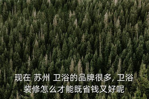現(xiàn)在 蘇州 衛(wèi)浴的品牌很多, 衛(wèi)浴裝修怎么才能既省錢又好呢