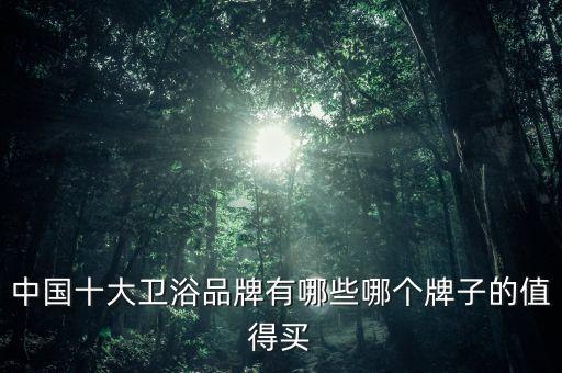 中國(guó)十大衛(wèi)浴品牌有哪些哪個(gè)牌子的值得買(mǎi)
