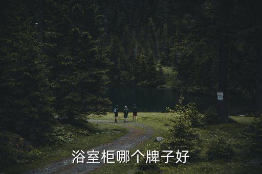 浴之寶衛(wèi)浴,哪個衛(wèi)浴廠家質量好?eagle衛(wèi)浴肯定登上寶座