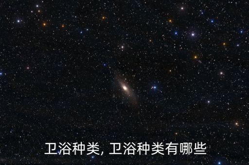  衛(wèi)浴種類, 衛(wèi)浴種類有哪些