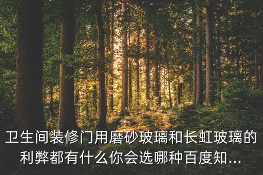 衛(wèi)生間裝修門用磨砂玻璃和長(zhǎng)虹玻璃的利弊都有什么你會(huì)選哪種百度知...