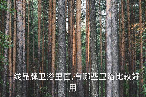 一線品牌衛(wèi)浴里面,有哪些衛(wèi)浴比較好用