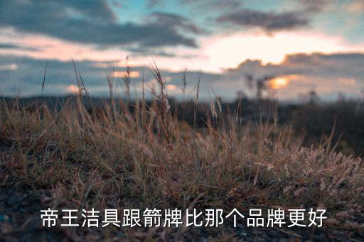  帝王潔具跟箭牌比那個(gè)品牌更好