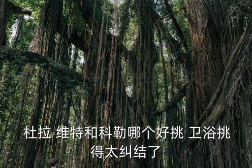 杜拉維特衛(wèi)浴好不好,杜拉維特馬桶沖水量高除異味效果佳