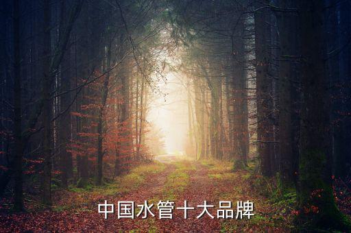 中國水管十大品牌