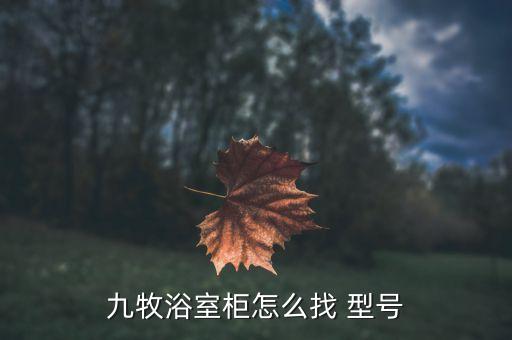 九牧浴室柜怎么找 型號