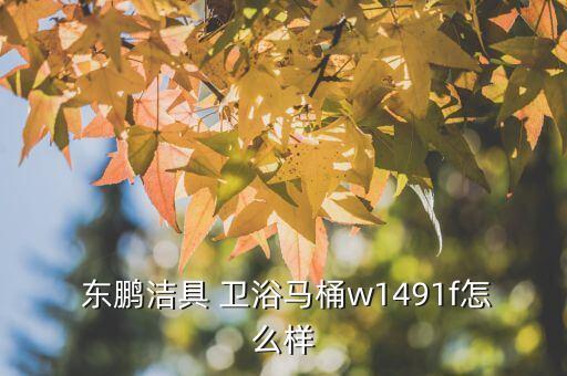 東鵬衛(wèi)浴日照店,東鵬衛(wèi)浴馬桶三件事你必須知道的事