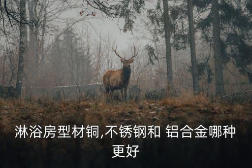 淋浴房型材銅,不銹鋼和 鋁合金哪種更好