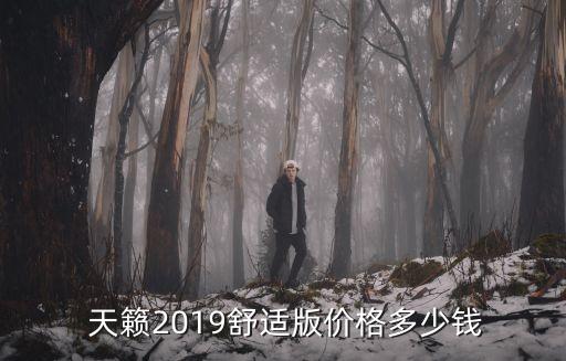 天籟衛(wèi)浴價格,天籟2019舒適版起價18.68萬起價